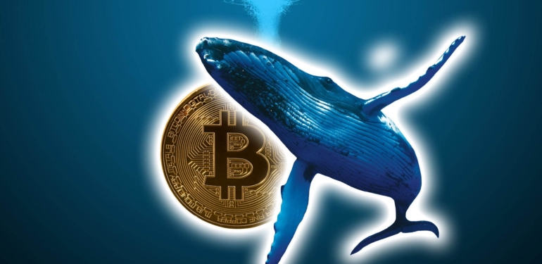 Bitcoin Balinaları 10 Binden Fazla Bitcoin’i Taşıdı